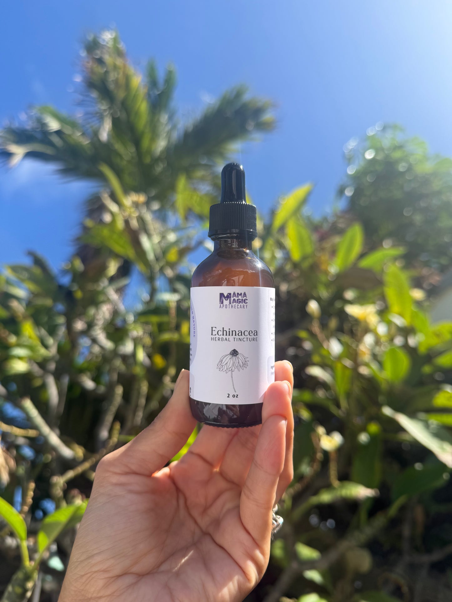 Echinacea Tincture