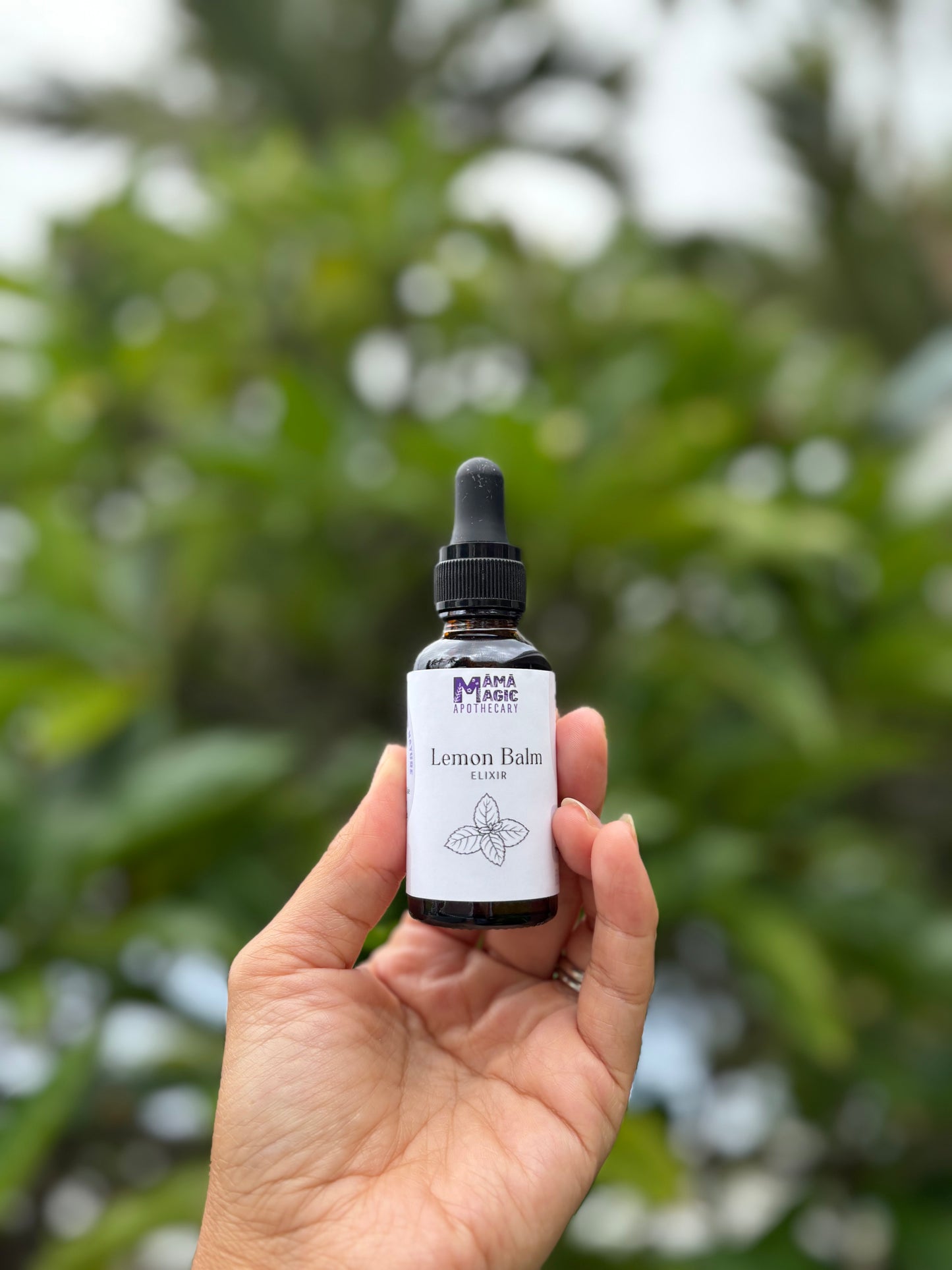 Lemon Balm Elixir